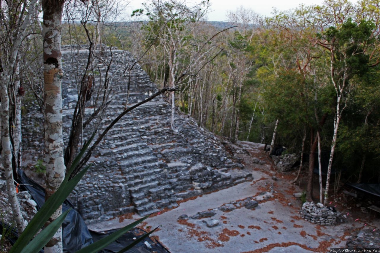 Эль Мирадор Эль-Мирадор  (город майя), Гватемала