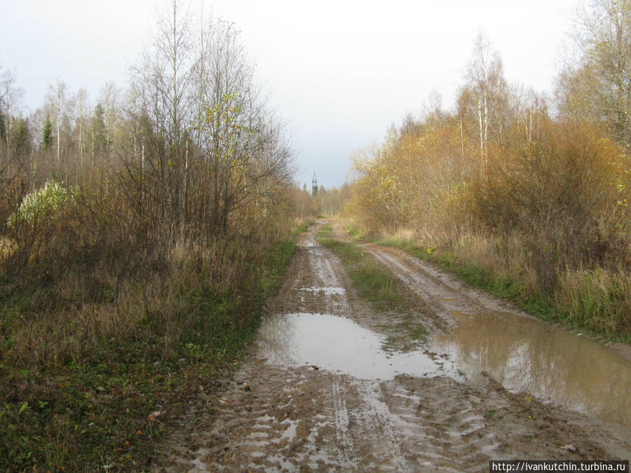 Свое отшагавшие Кингисепп, Россия