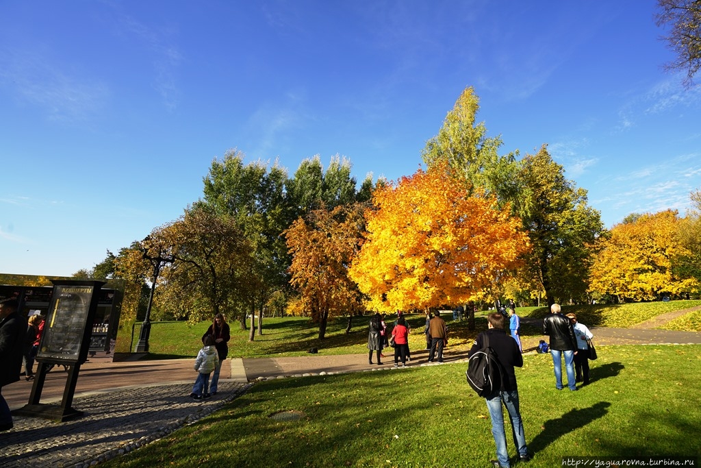 Несколько часов в парке Царицыно. Москва (город - регион), Россия