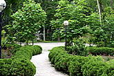Вся  территория музея покрыта пешеходными  дорожками и везде в качестве  обрамления  служит низкорослый сочно — зеленый кустарник.
