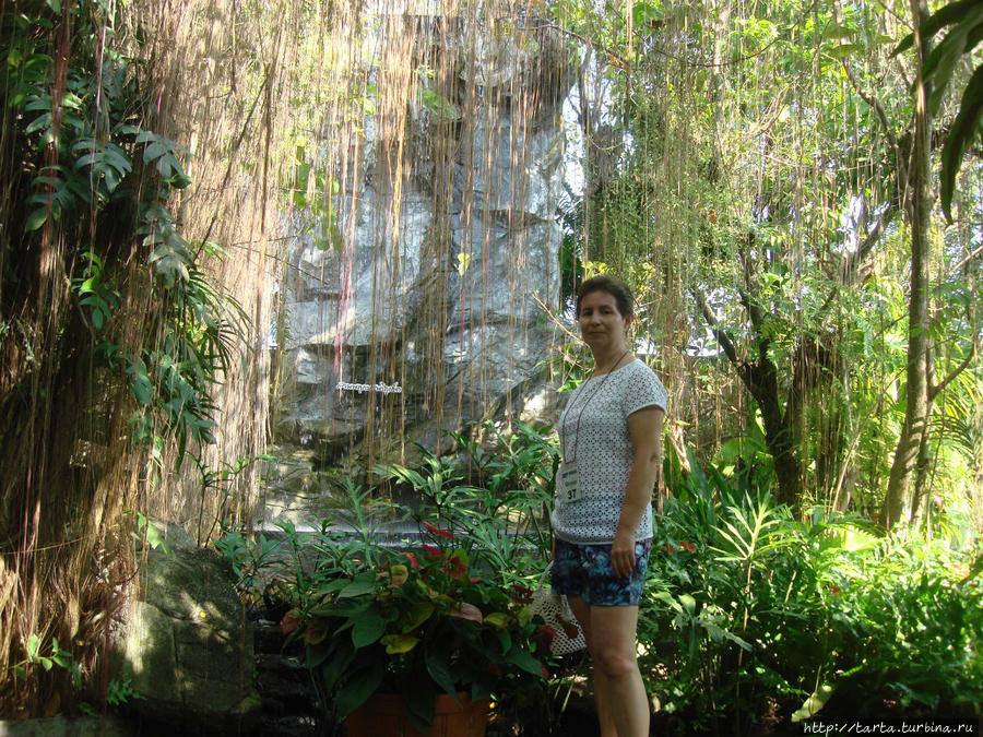 Ботанический сад. Вторая серия Пхукет, Таиланд