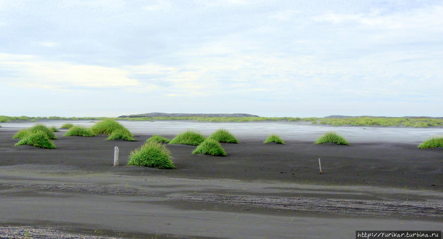 Все вокруг покрыто черным вулканическим песком Хёфн, Исландия