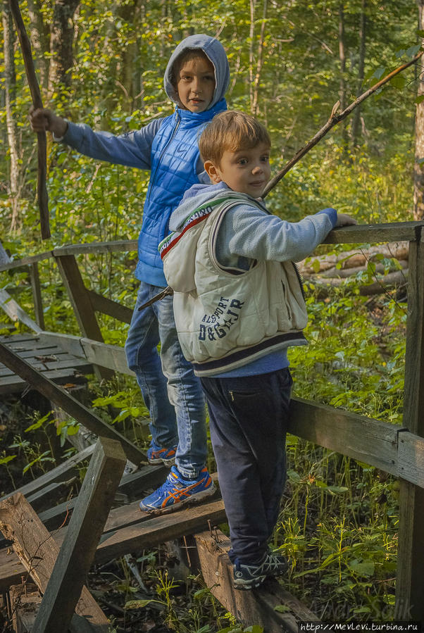 Тропа не для слабых Кемери, Латвия