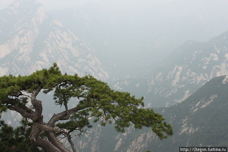 Высокие отвесные пики — это лепестки красивого цветка Хуашань, Китай