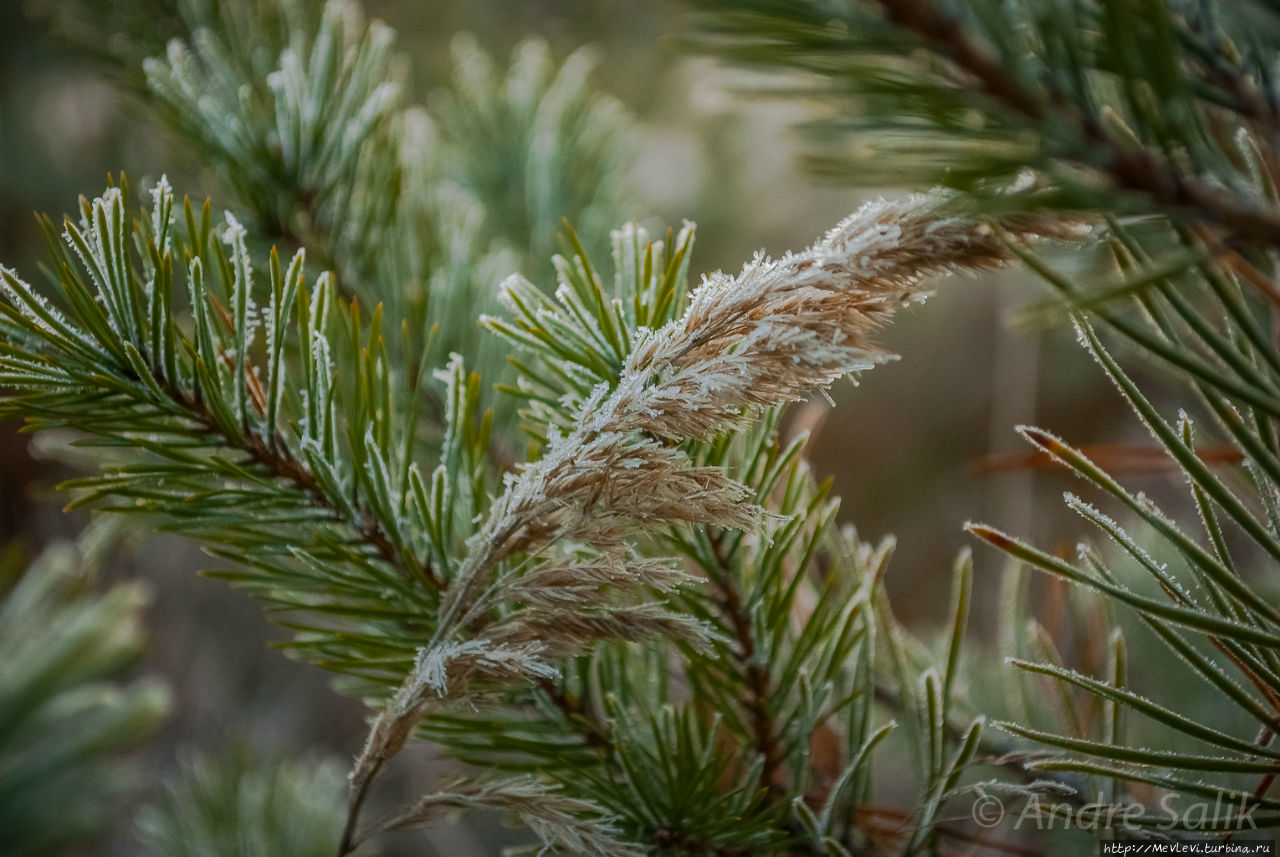 Изморозь Рига, Латвия