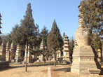 Талинь, что в переводе означает «Лес пагод», является местом захоронения настоятелей легендарного монастыря Шаолинь, выдающихся мастеров ушу.