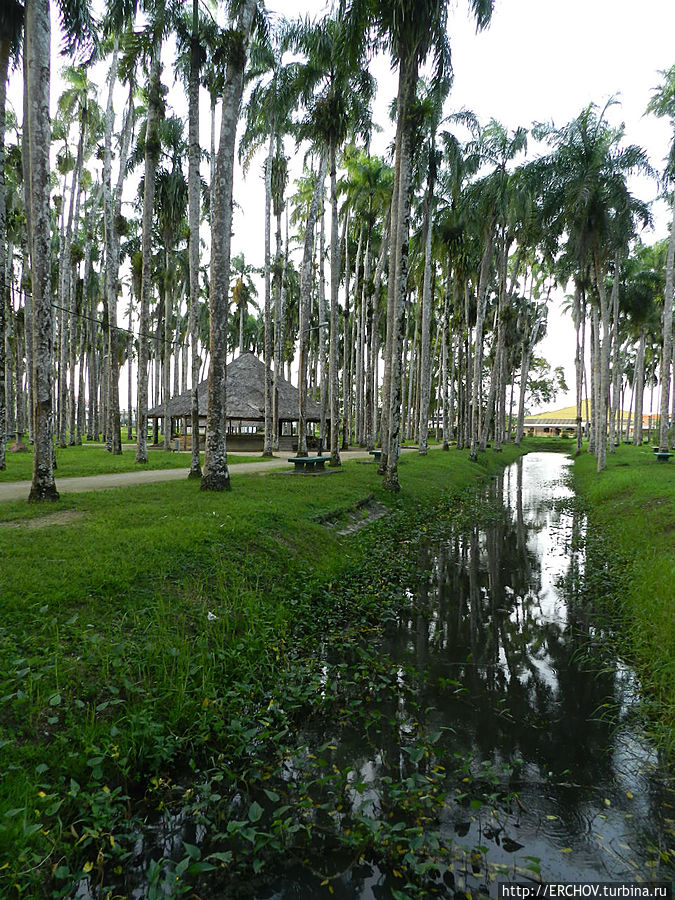 Палм-Гарден Парамарибо, Суринам