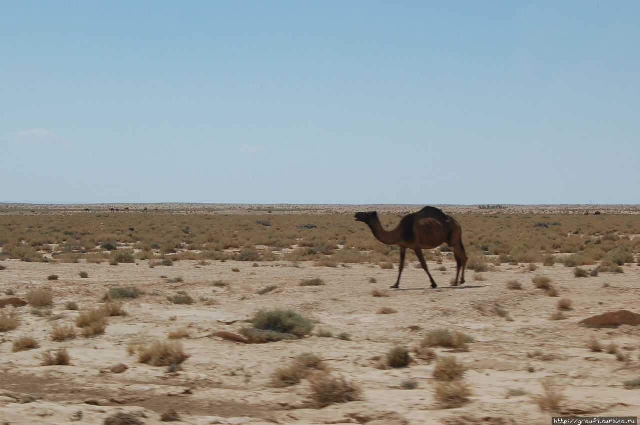 Пустыня Тунис