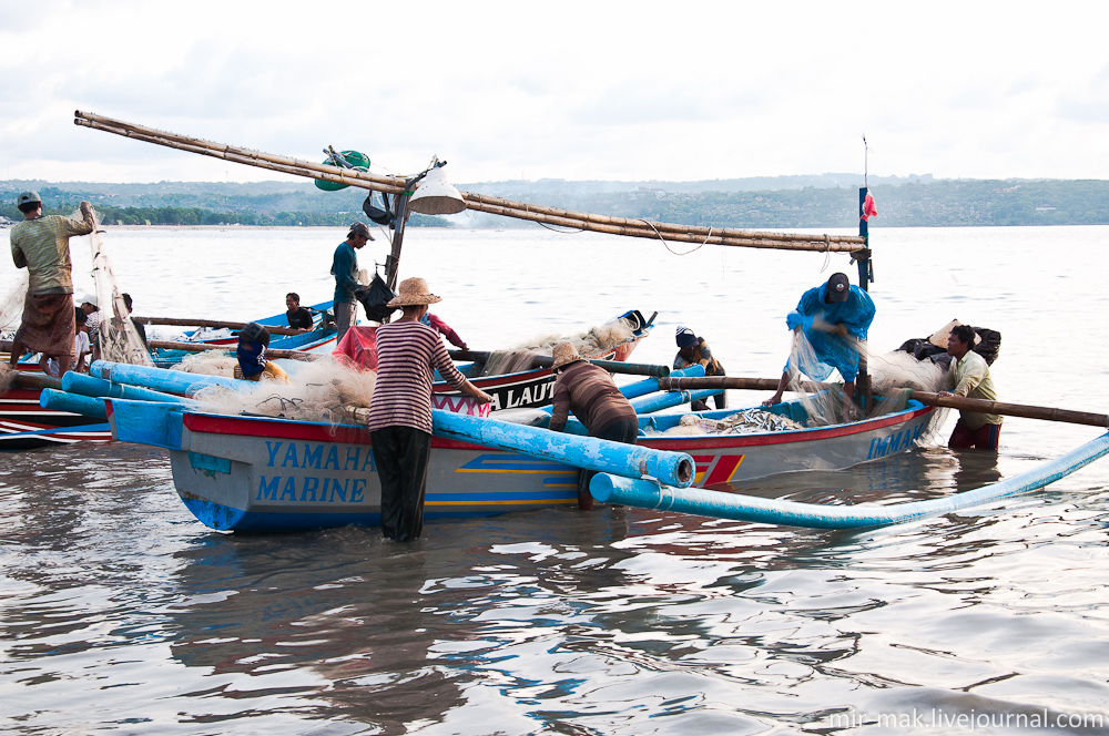 На берегу рыбакам на помощь приходят родственники или знакомые продавцы. Джимбаран, Индонезия