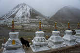 Монастырь Дира Пхук. Мы с незнакомой собакой вглядываемся в снежную даль, там должен быть Кайлаш