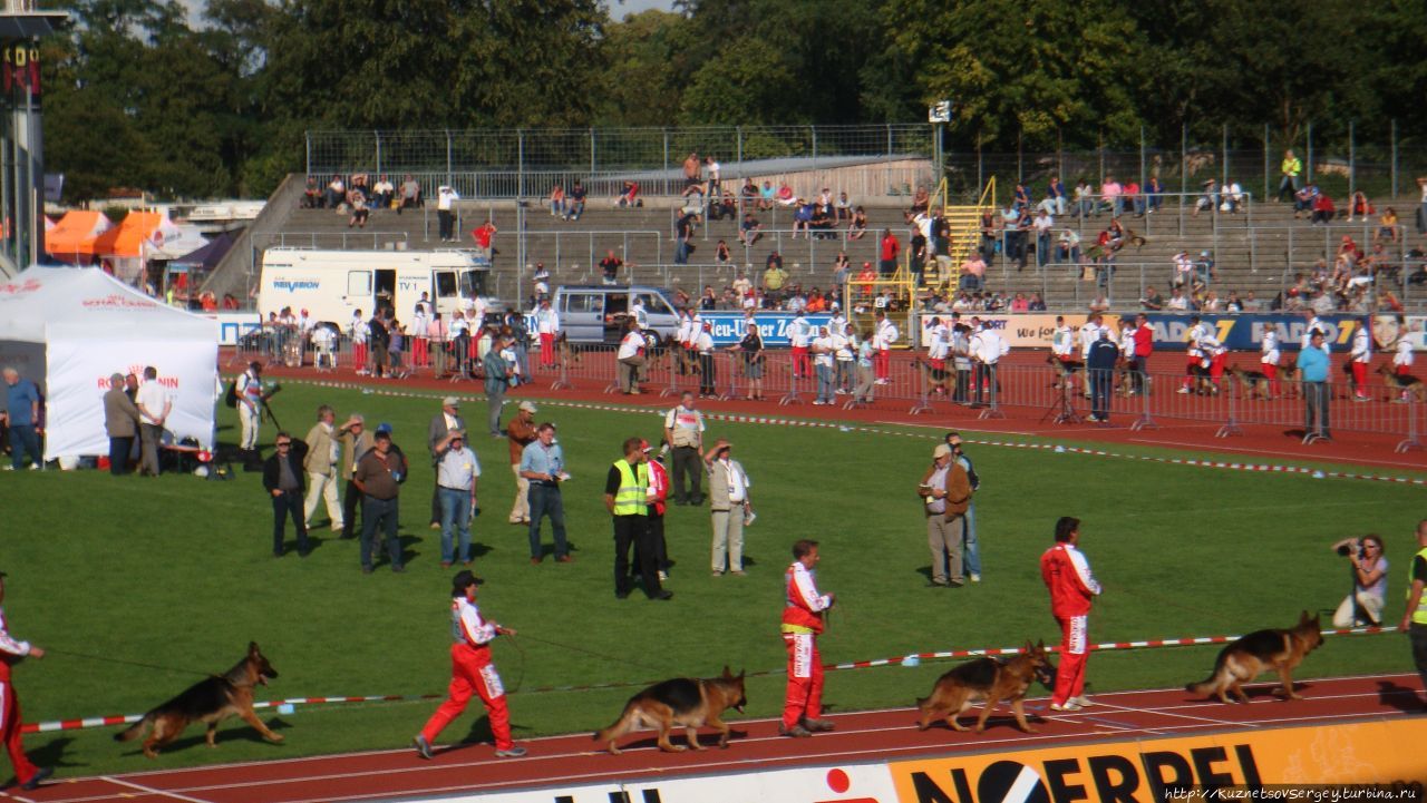 Зигер в Ульме Ульм, Германия