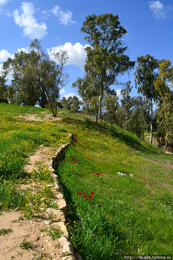 Парк не является природным объектом, Все деревья посажены людьми для людей. Проделана работа по укреплению почвы, построены пешеходные маршруты,  стоянки для пикников. Есть питьевая вода.