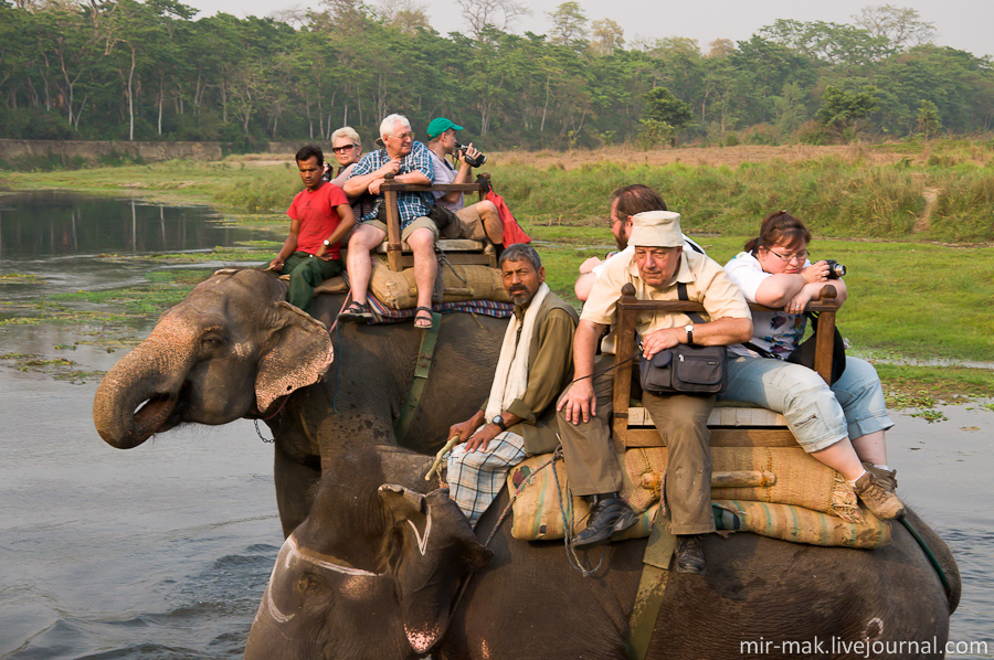 В данном, очевидном случае, на слона посадили только трех туристов. Непал