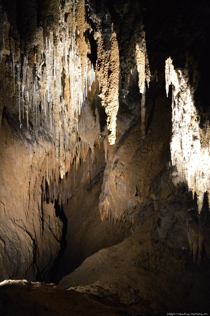 Легко ли стать молодым? Пещера Хастингса Хастингс-Кейвс-энд-Термал-Спрингс, Австралия
