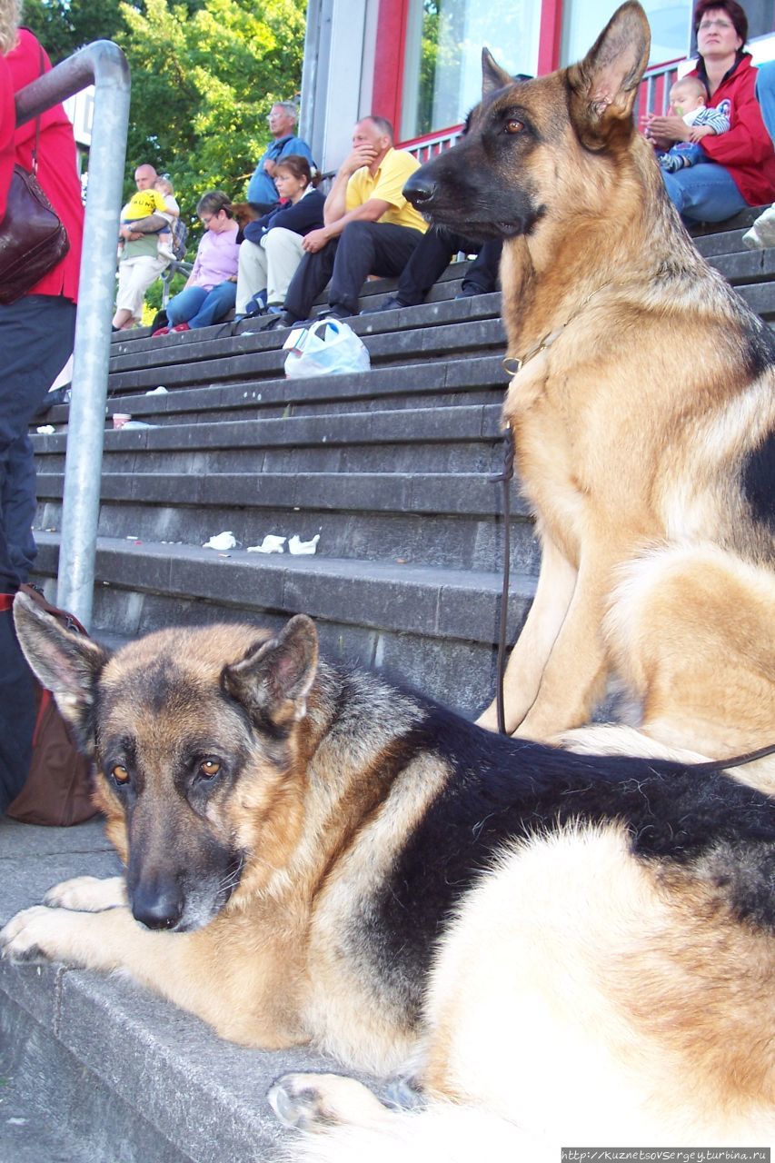 Снова Ульм, снова Зигер! Ульм, Германия