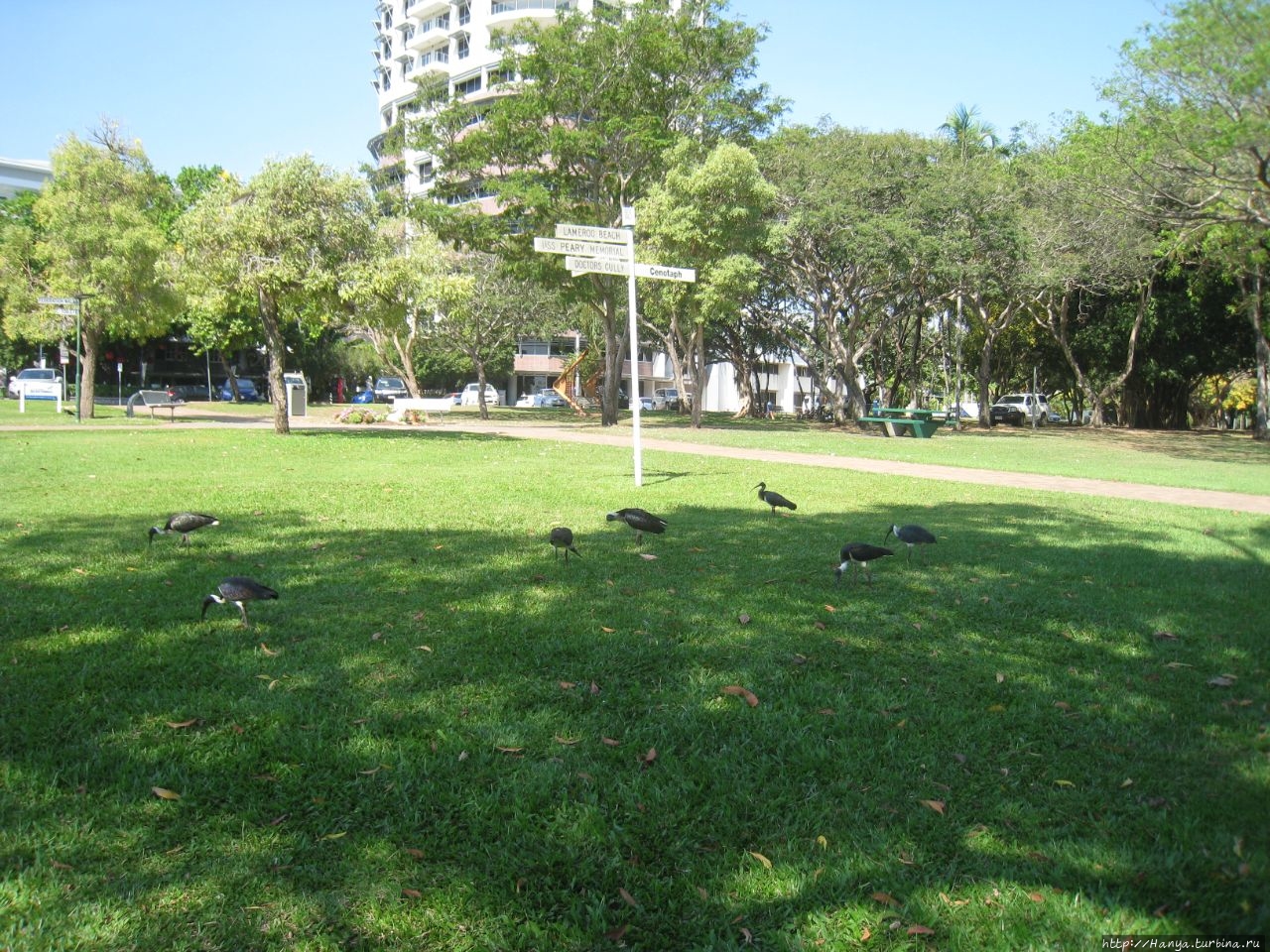 Парк Bicentennial Дарвин, Австралия