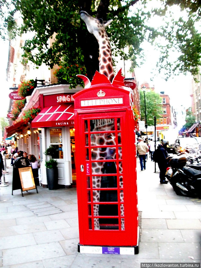 Жираф в телефонной будке радует зевак, коих много на Ковент Гардене. Лондон, Великобритания