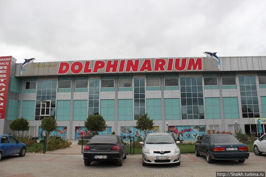 Стамбульский дельфинарий / Istanbul Dolphinarium