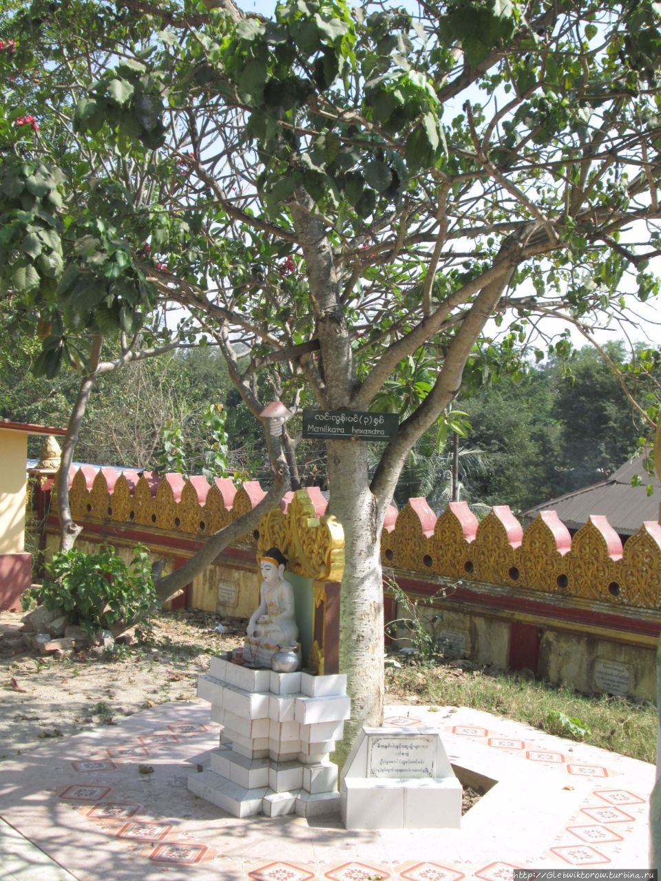 Миасекхон пагода Таунгу, Мьянма