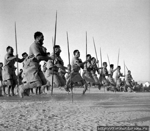 Новозеландские воины исполняют боевой танец маори — Хака, 1941 г. Из Интернета Роторуа, Новая Зеландия