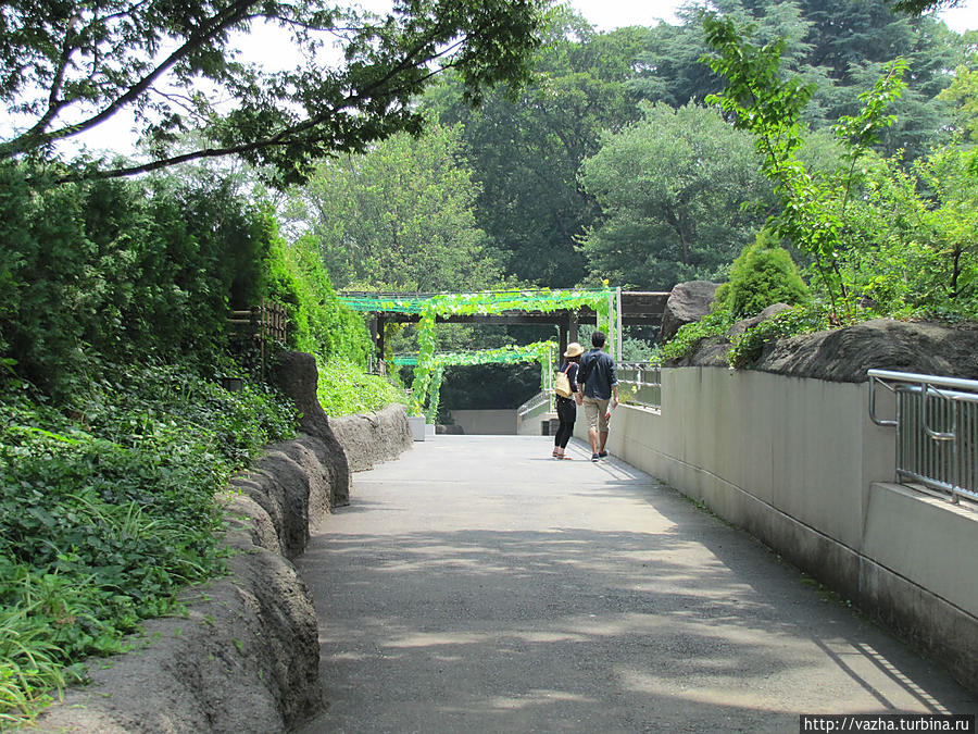 Прогулка по зоопарку Уэно. Токио, Япония