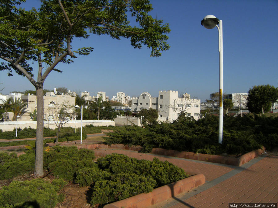 Синагога в ЮдАлефе Ашдод, Израиль