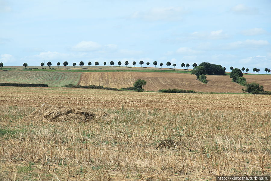 Чем не Тоскана