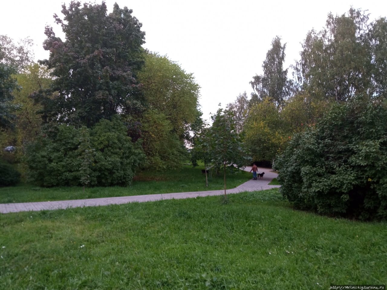 Парк Лес Победы / Victory Forest Park