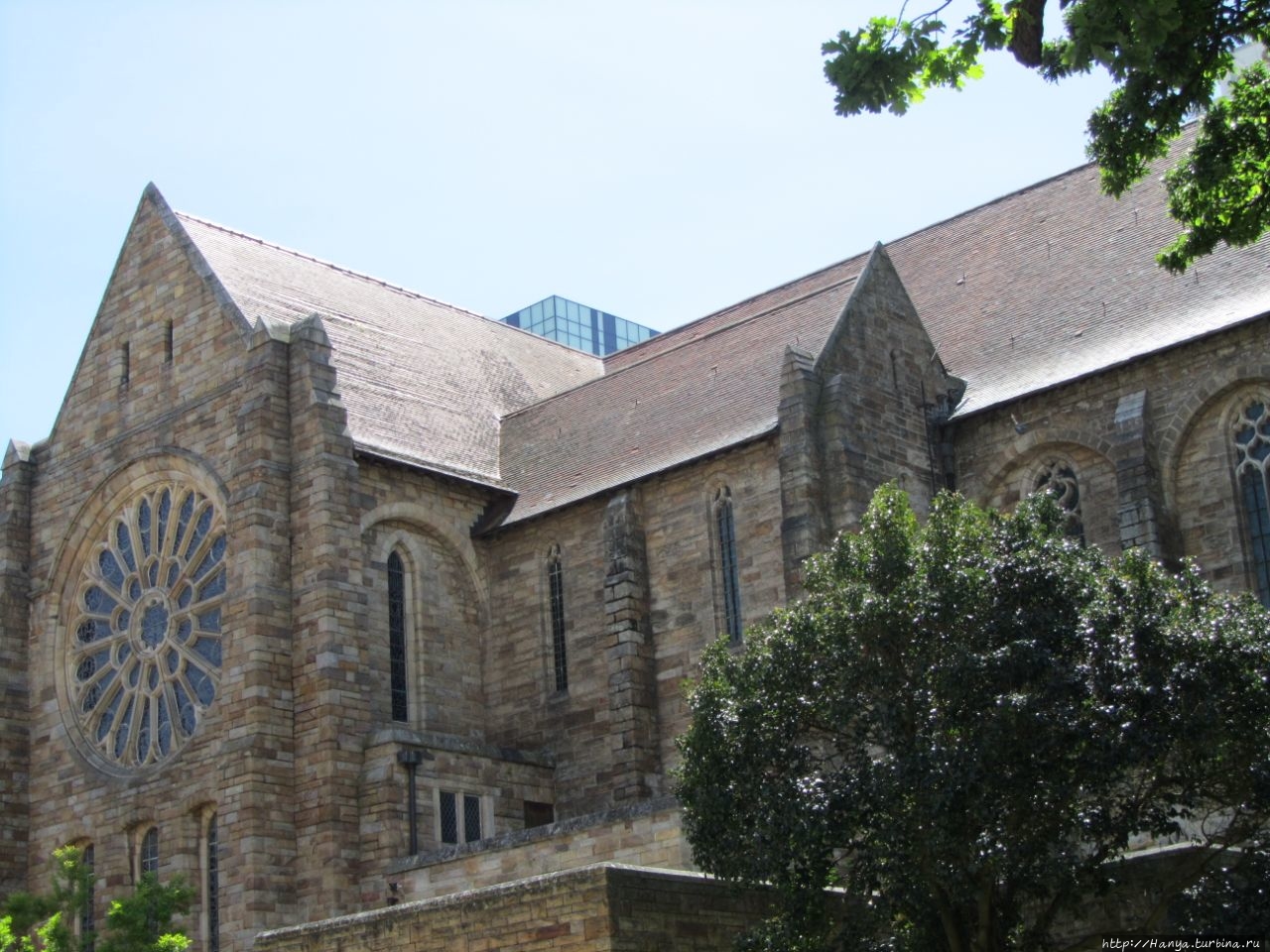 Кафедральный собор Святого Георгия Кейптаун, ЮАР