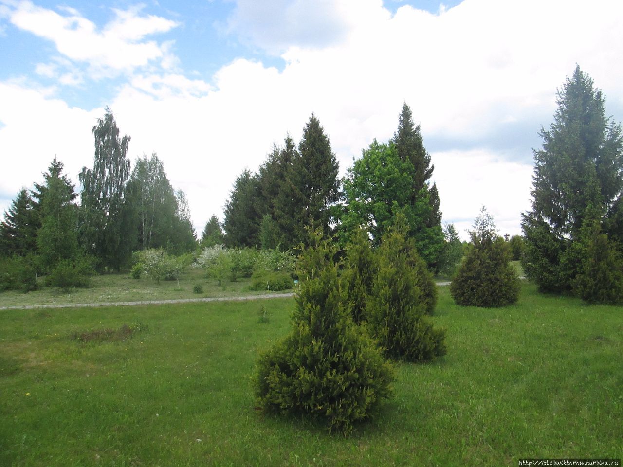 Прогулка в Дендрологический сад Нарочанского парка Мядель, Беларусь