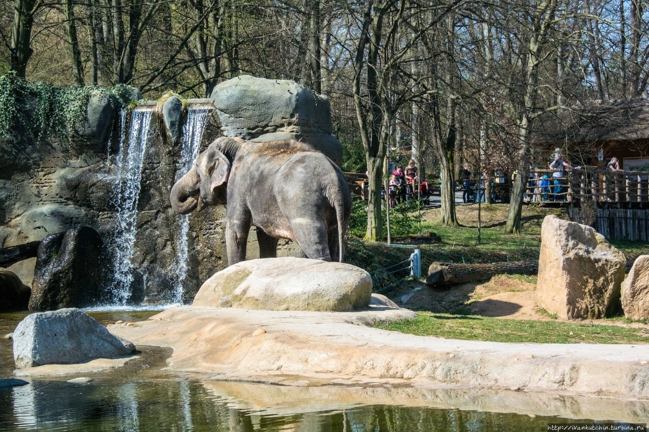 пражский зоопарк