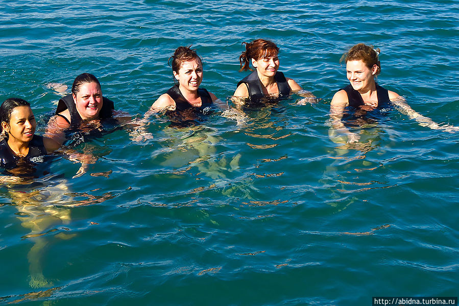 Выстраиваемся в линию и вытягиваем руки