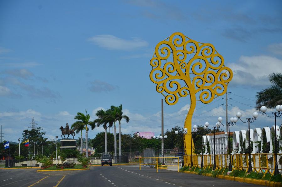 Такие желтые деревья тут повсюду в память об Уго Чавесе Никарагуа