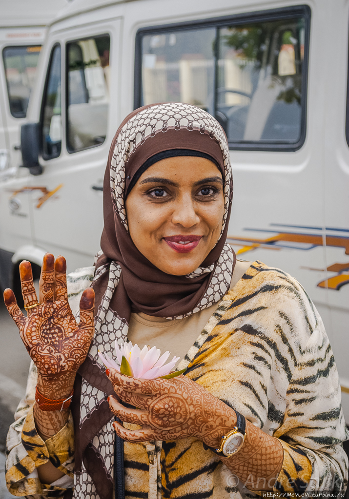 Озеро Дал. Портреты