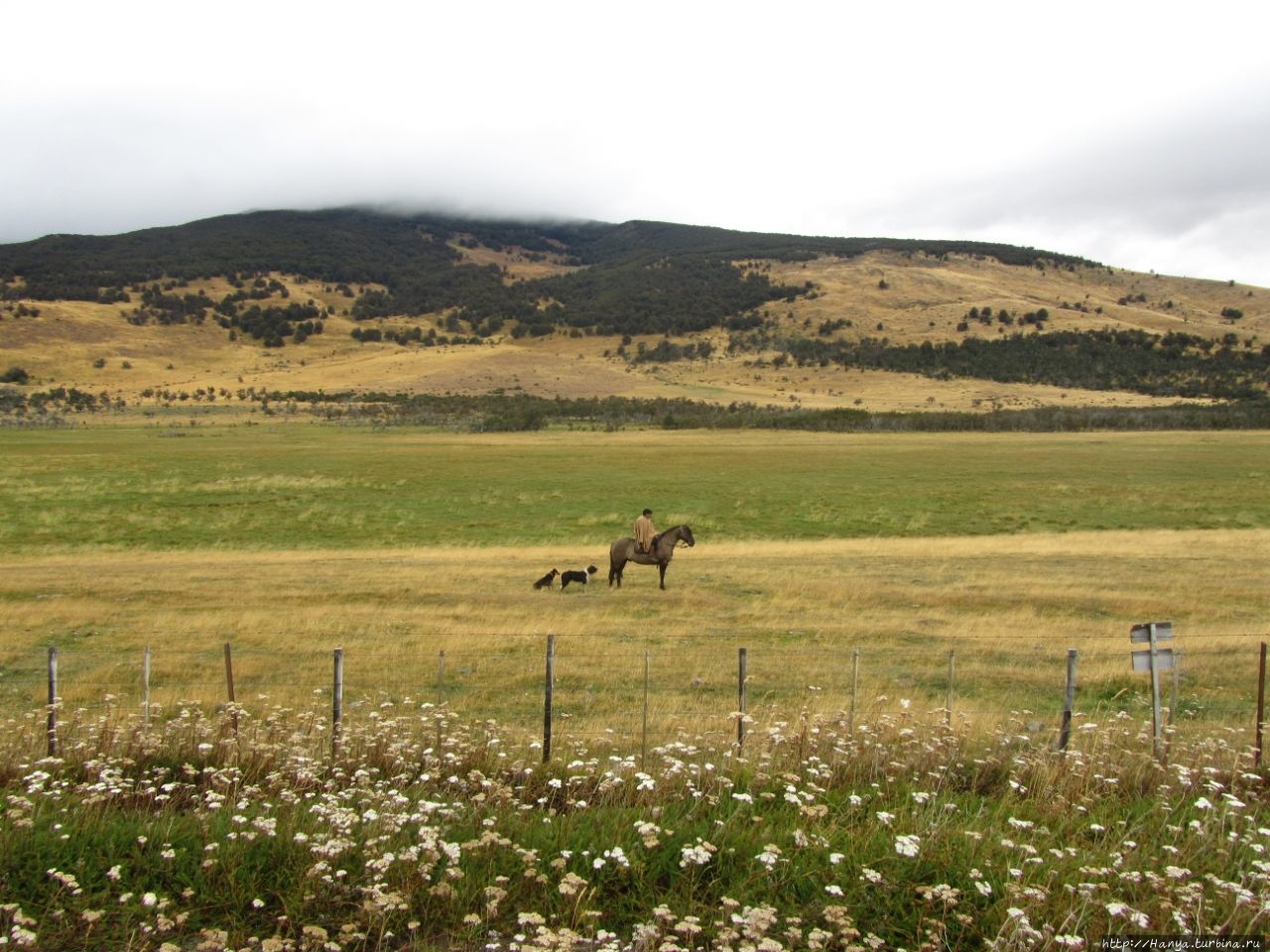 Патагонские гаучо и развилка у границы с Аргентиной. Ч.83 Национальный парк Торрес-дель-Пайне, Чили