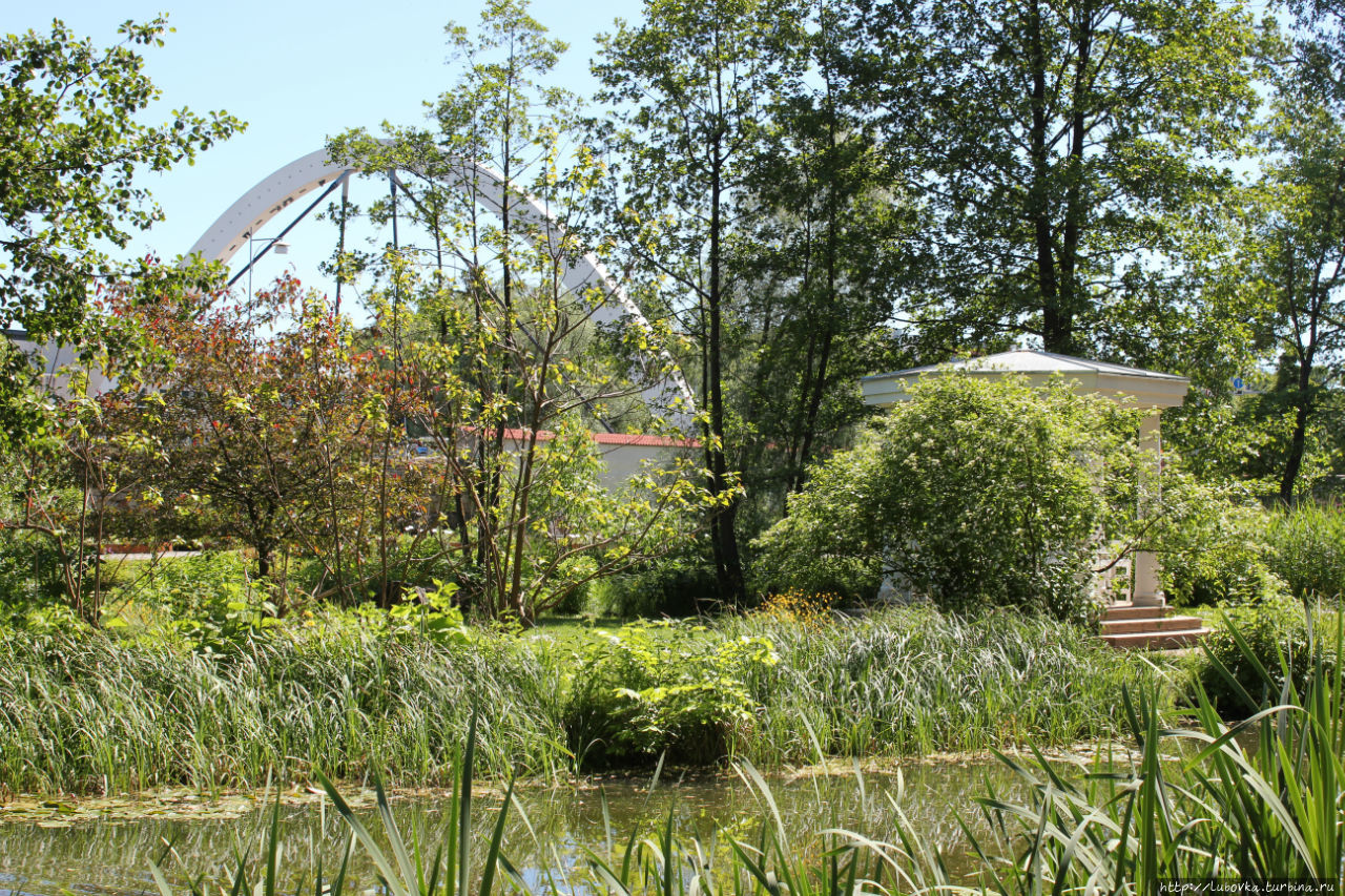 В Ботаническом саду города Тарту  июнь 2015