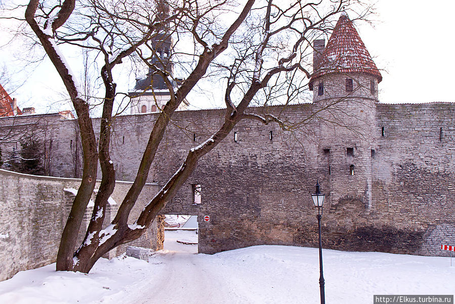 Возвращение в Таллин, 20 лет спустя Таллин, Эстония