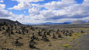 Любители поскладывать троллей сделали такую поляну