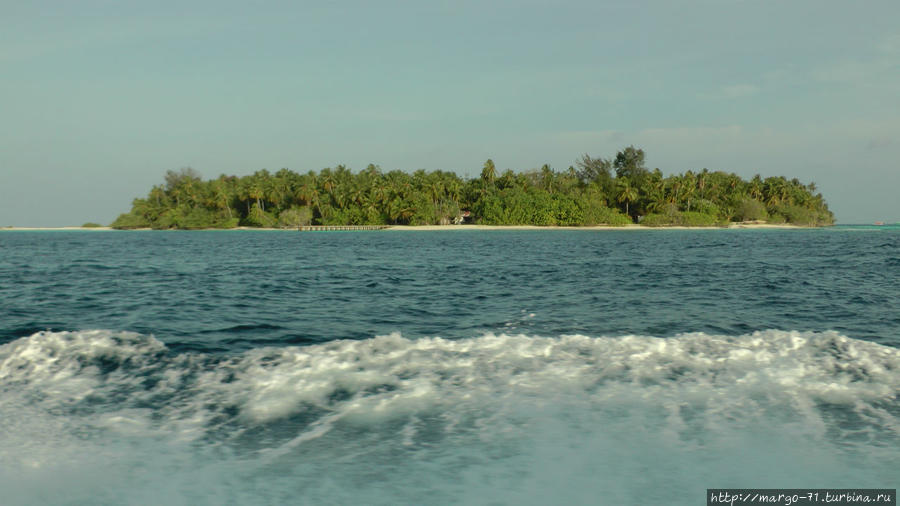 25 Остров Олхувели, Мальдивские острова