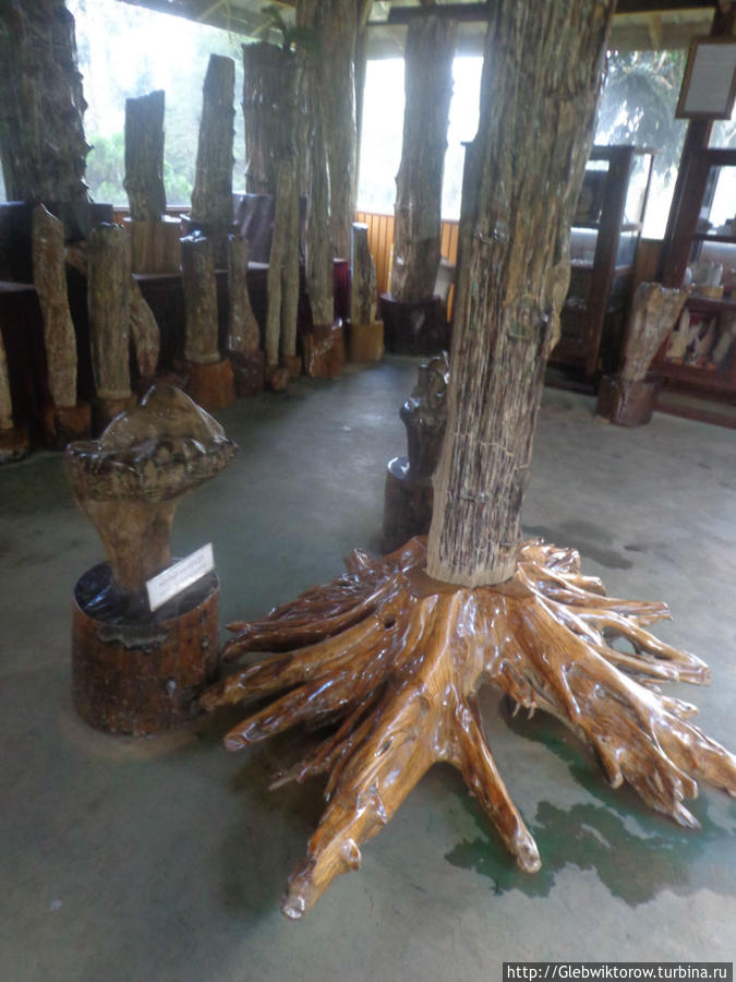 Fossil Museum Пьин-У-Львин, Мьянма