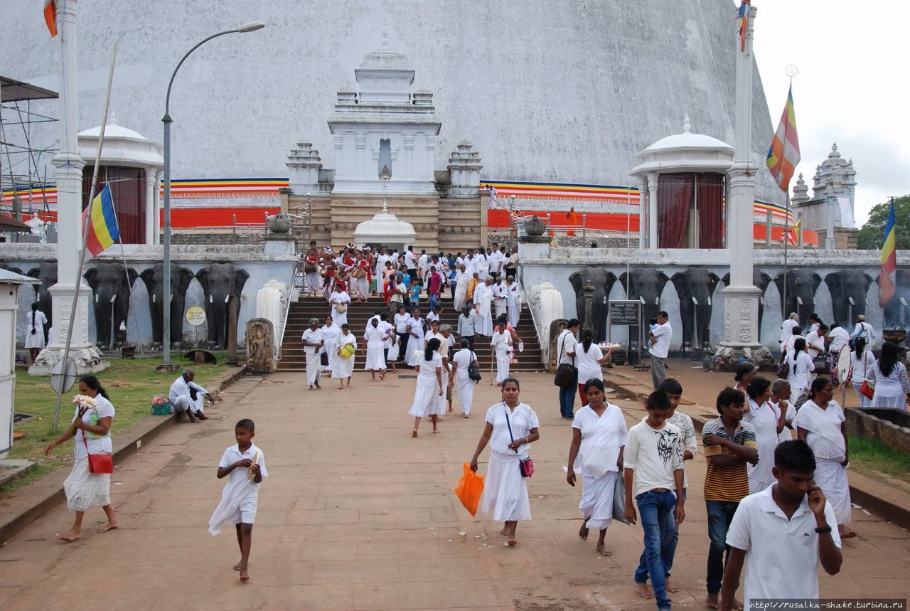 Праздник у Руанвелиссии Анурадхапура, Шри-Ланка