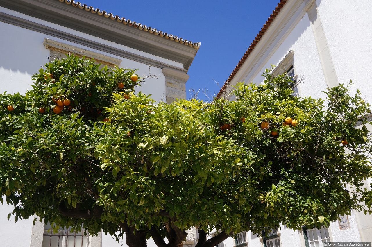 Фару, как город-маяк в «стране маяков» Фару, Португалия