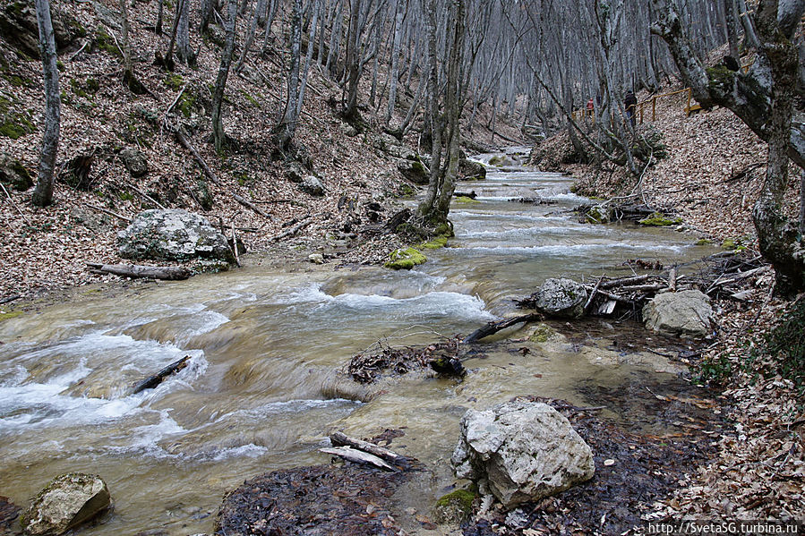 Водопад Серебряные струи очень красив весной Республика Крым, Россия