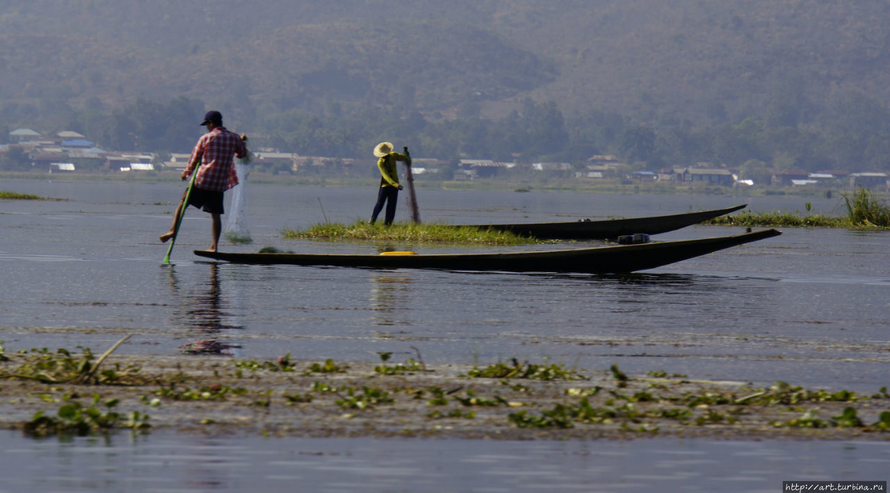 А остальные заняты ловом и не обращают внимания на туристов. Озеро Инле, Мьянма