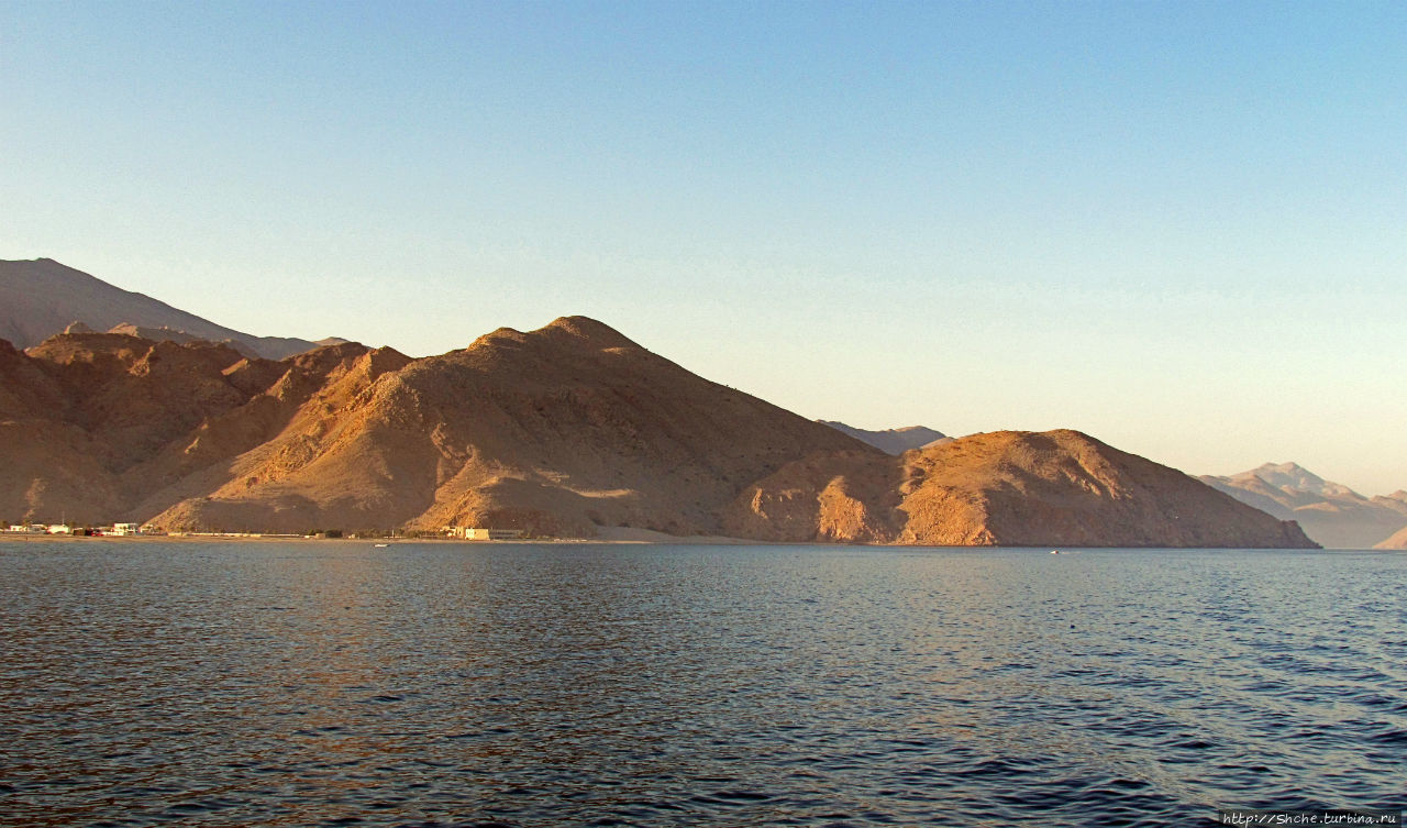 Стандартная морская прогулка вдоль полуострова Мусандам Регион Мусандам, Оман