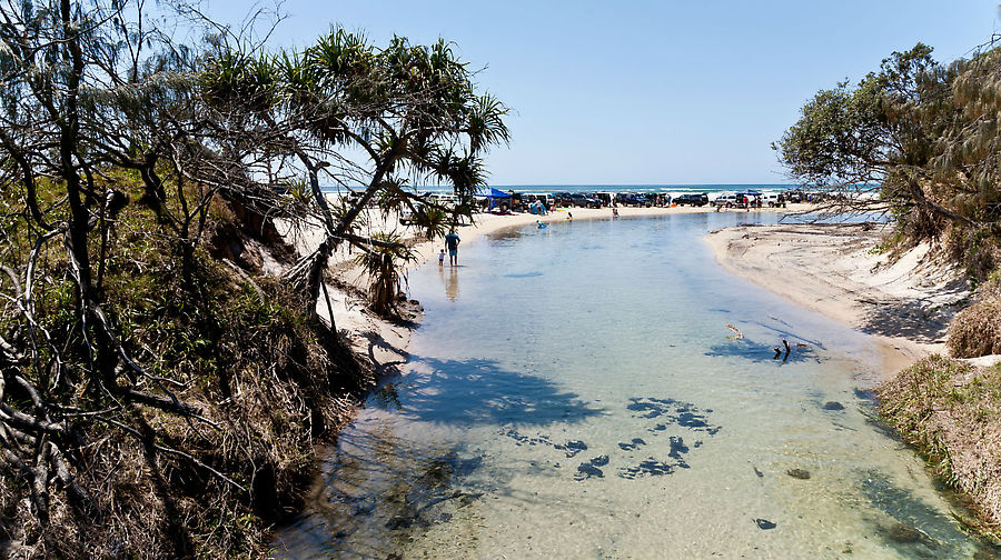 Eli creek — вода в ручье приятно освежает Остров Фрейзер, Австралия