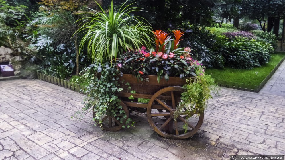 Панды в городе и китайский поезд Чэнду, Китай