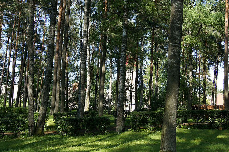 Олайне латвия