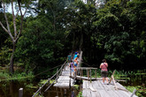 Экскурсия в джунгли