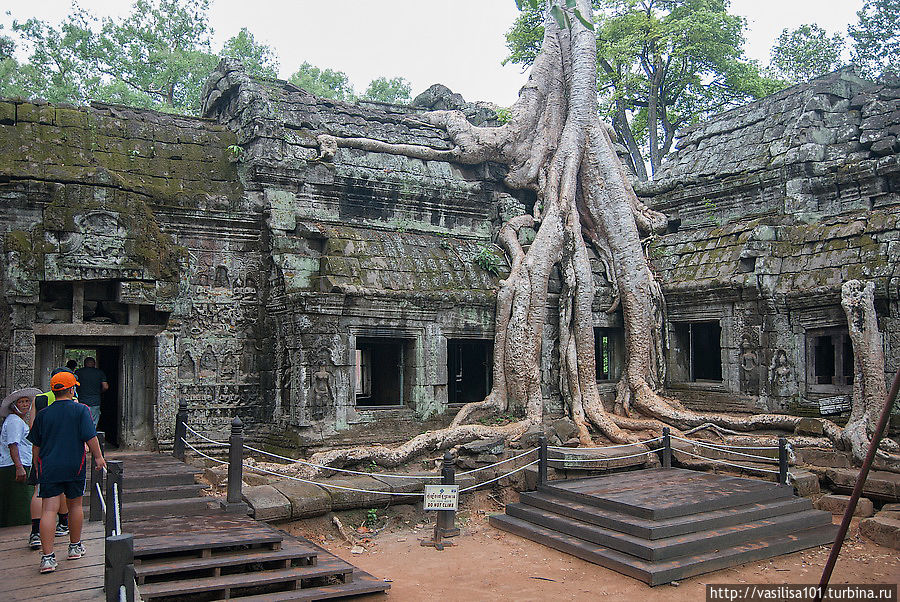 Та Прохм, как это выглядит на самом деле — у каждого корня подиум для фотографирования Ангкор (столица государства кхмеров), Камбоджа
